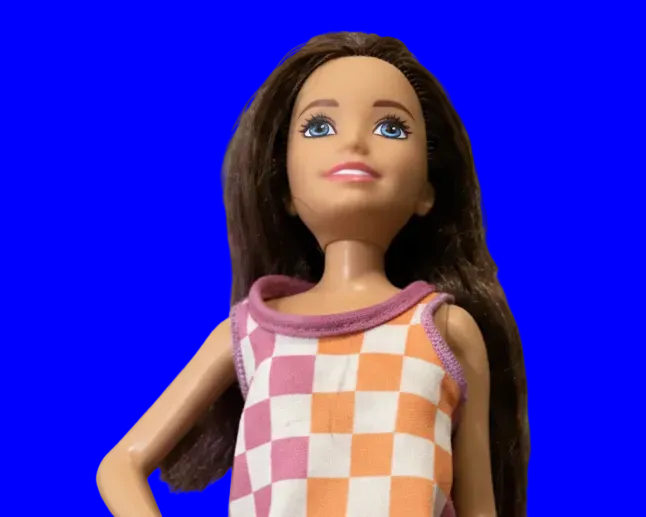 চেকার্ড ড্রেস সহ বার্বি ডল