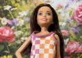 চেকার্ড ড্রেস সহ বার্বি ডল