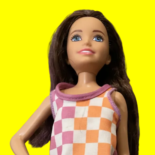 চেকার্ড ড্রেস সহ বার্বি ডল