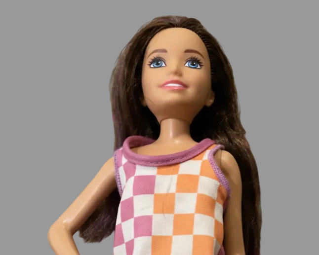 চেকার্ড ড্রেস সহ বার্বি ডল