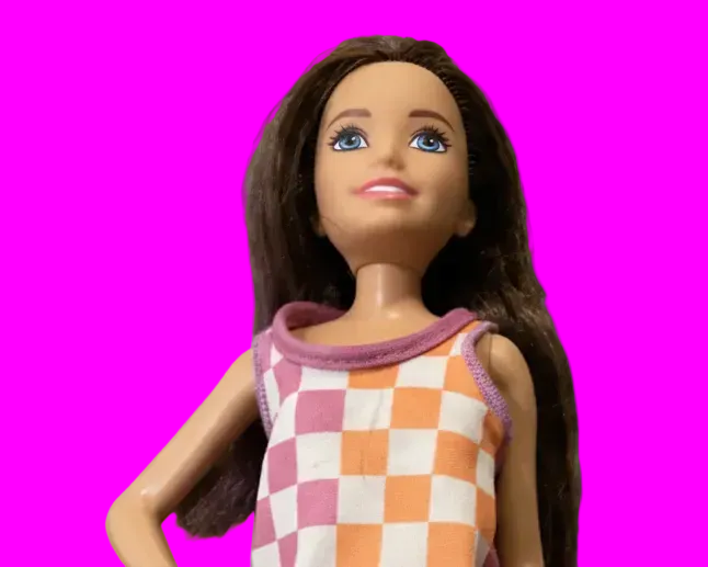 চেকার্ড ড্রেস সহ বার্বি ডল