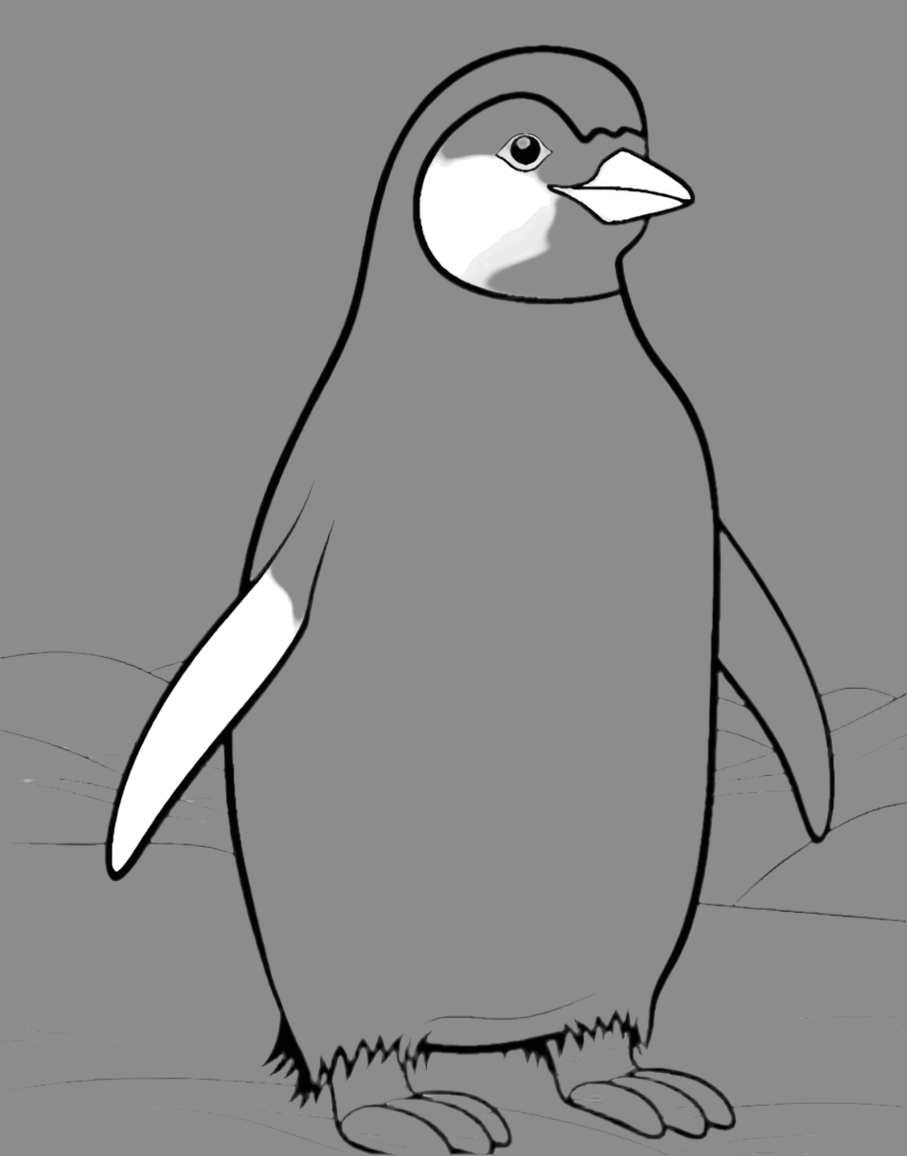 রঙিন পণ্য