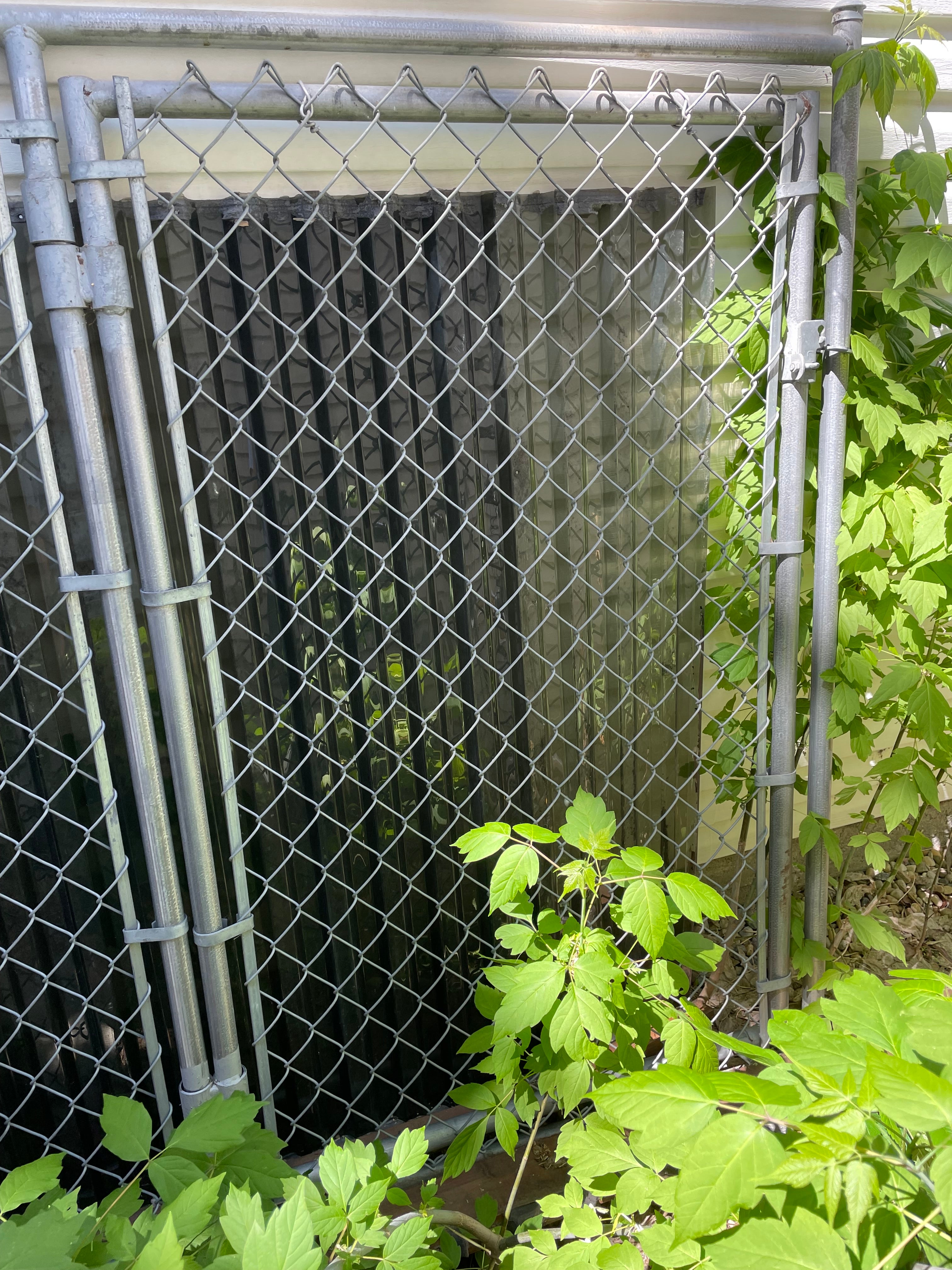 মিডিয়া আপলোড করা