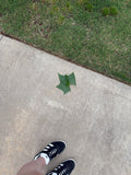 Leaf that looks like the ones from Land Before Time