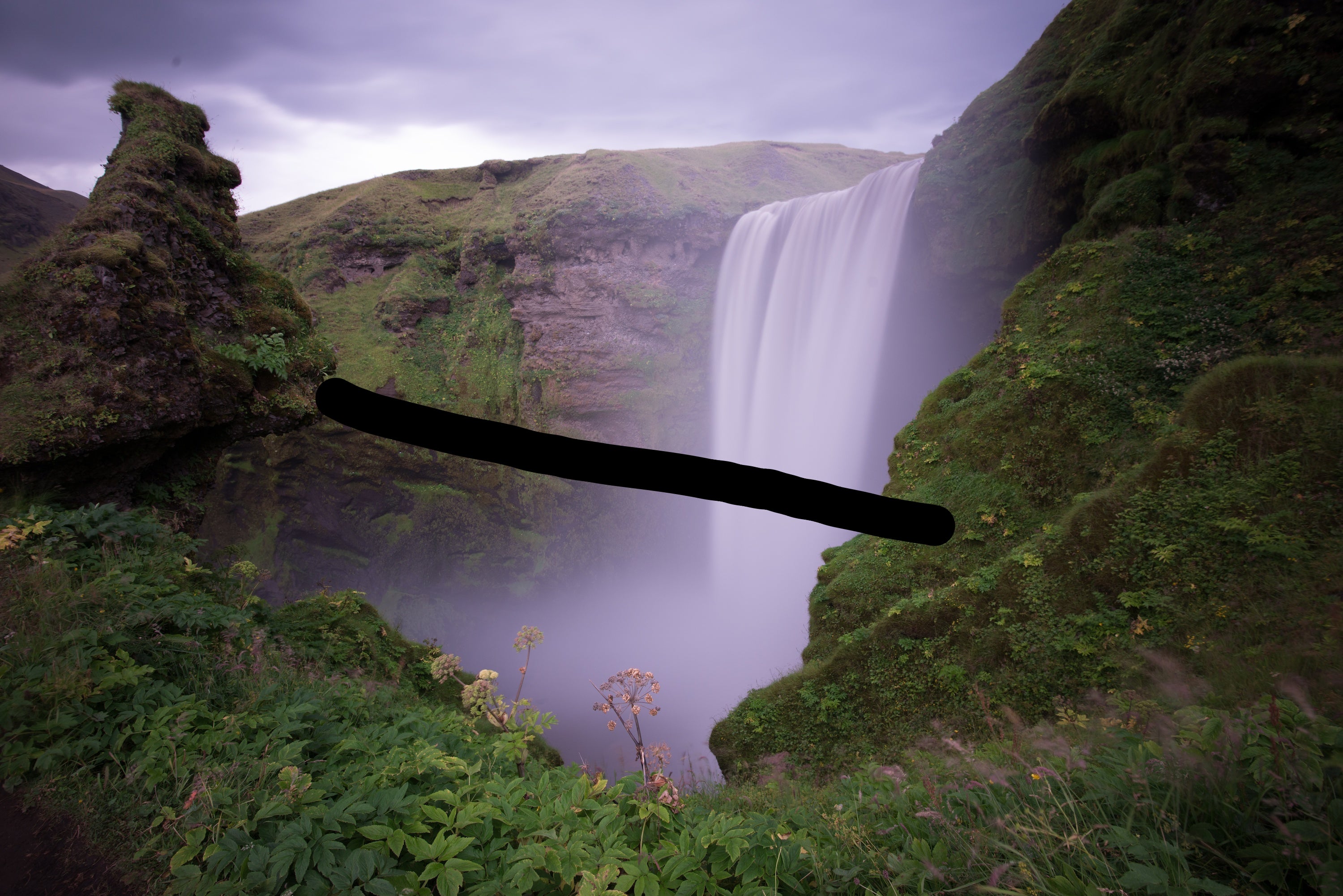 মিডিয়া