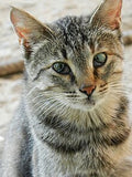 Untitled Feb23_13:5=
