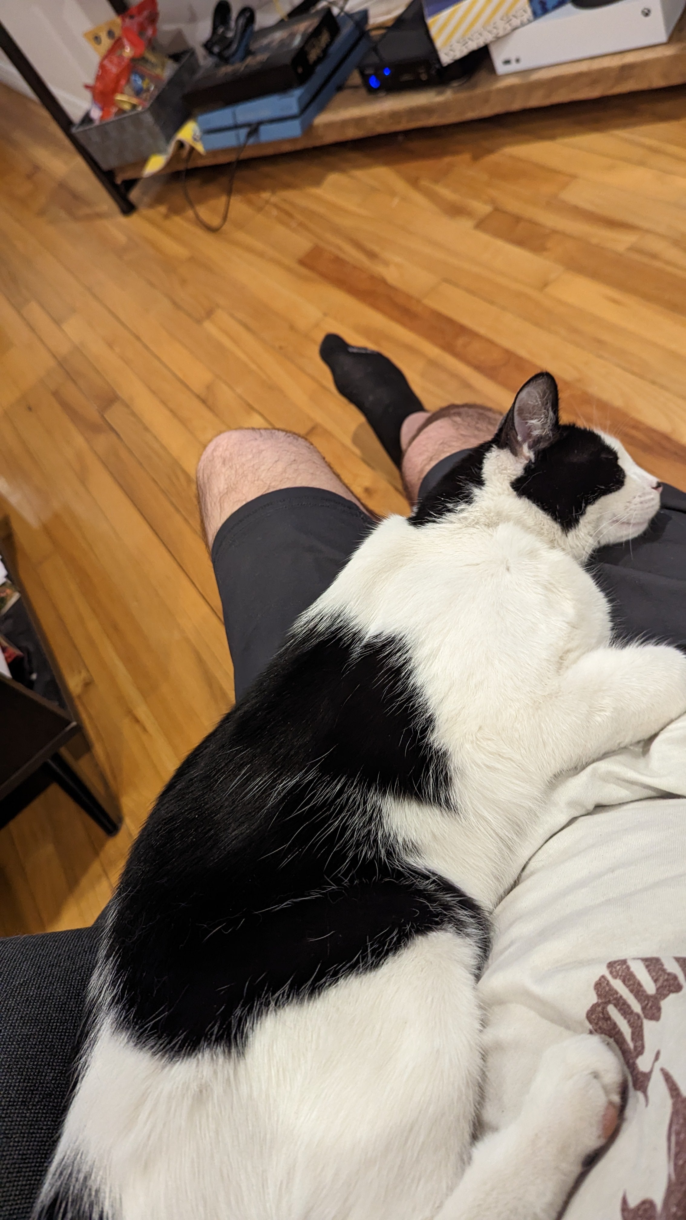 মিডিয়া পরীক্ষা