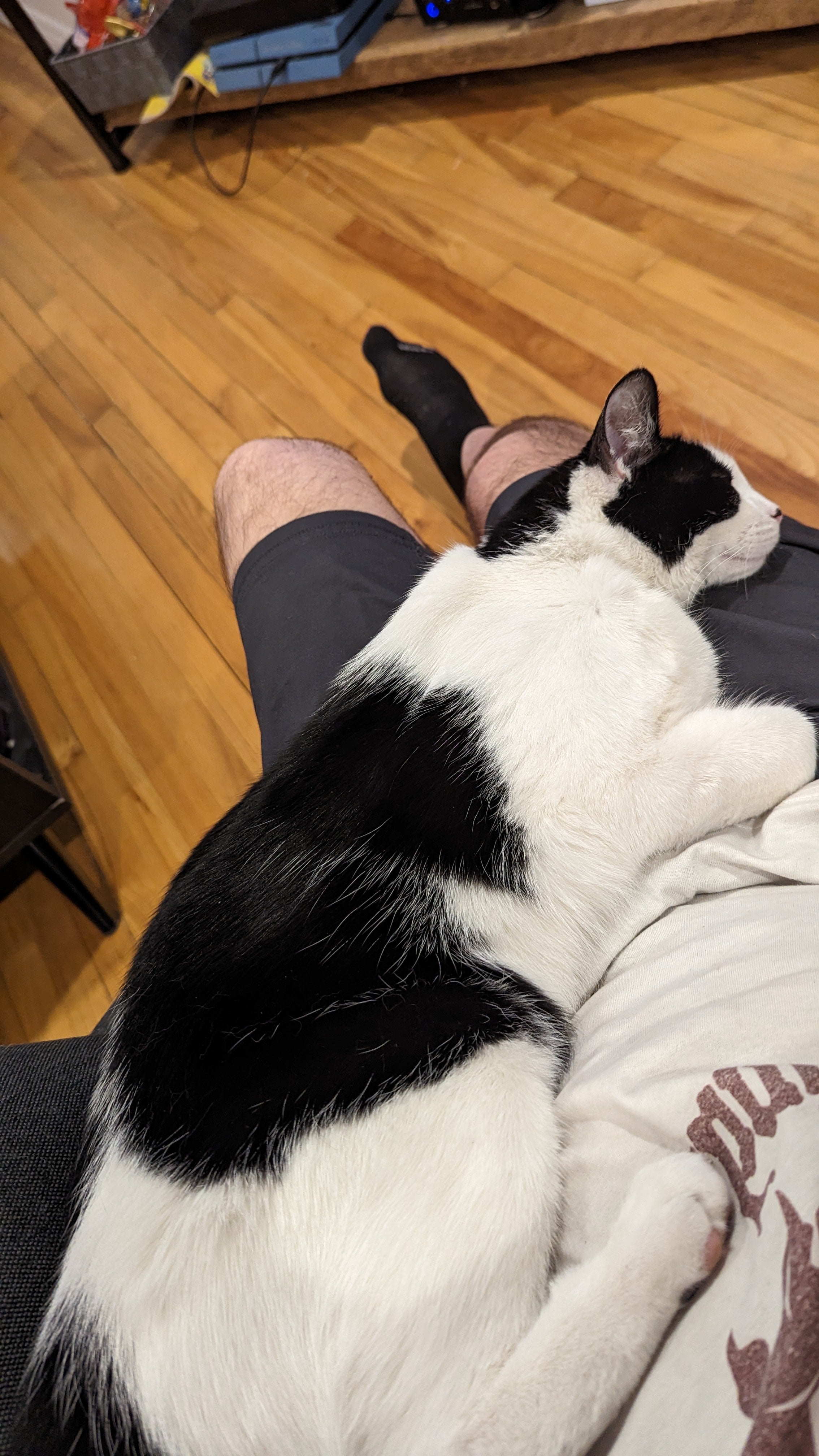 মিডিয়া পরীক্ষা