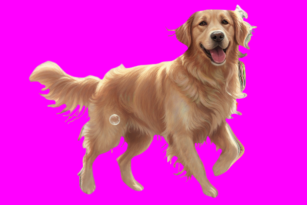 পরীক্ষা