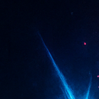 Hair Metal Succulent Band