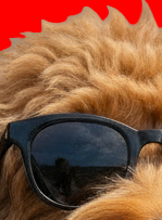 হ্যালো পৃথিবী