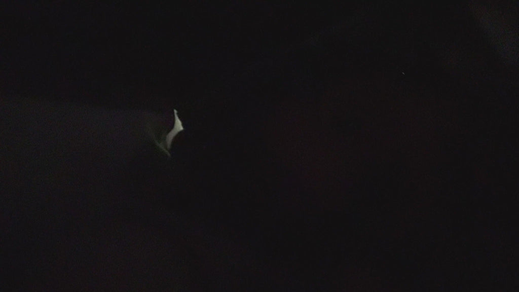 প্রোড৪এস