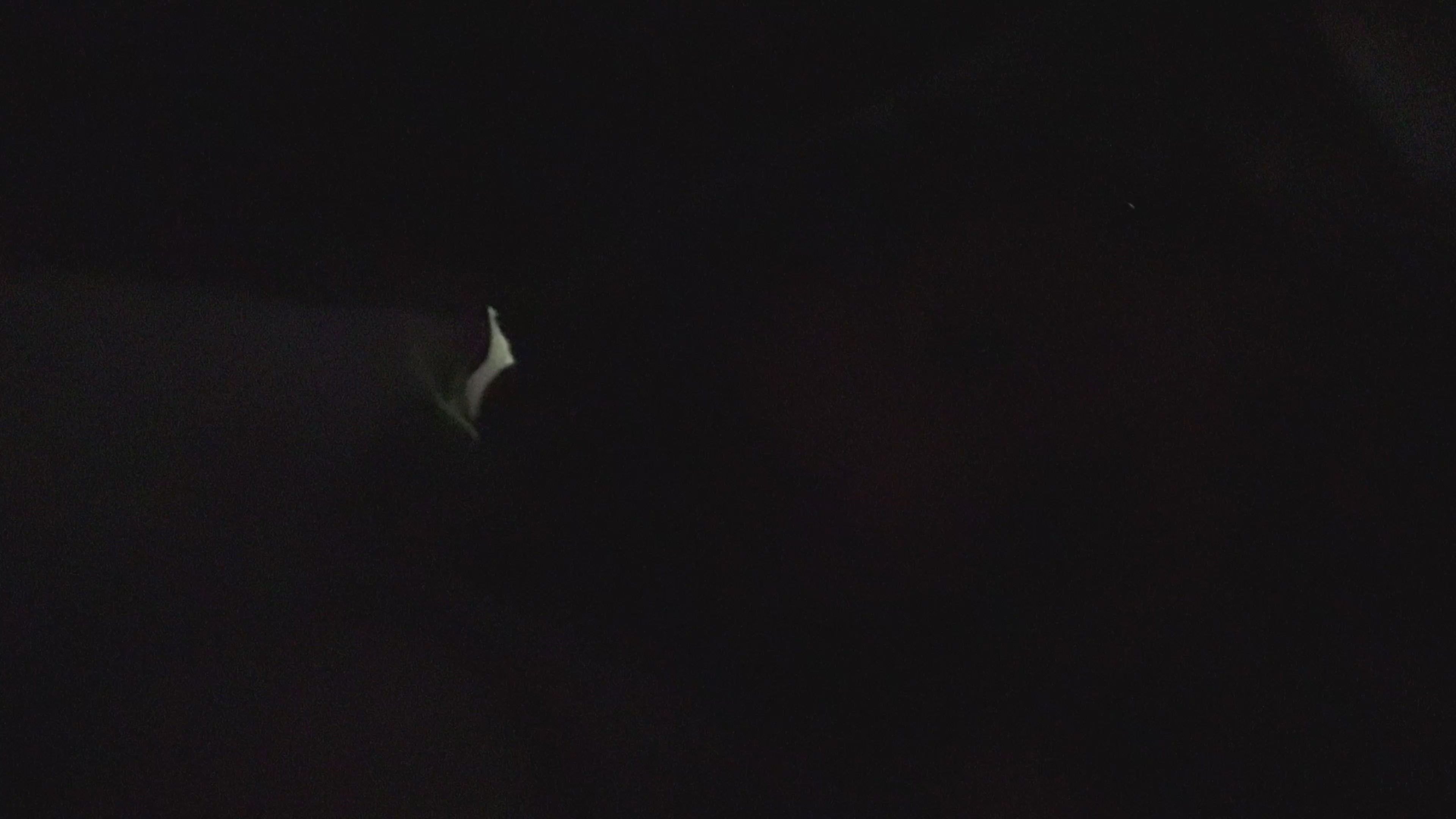 প্রোড৪এস