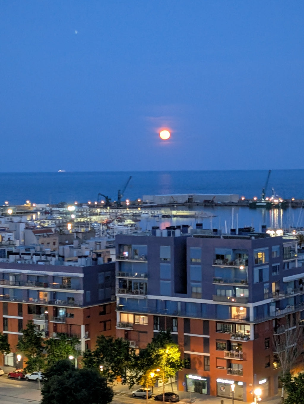 (Copy) cat - A Better Looking Shop