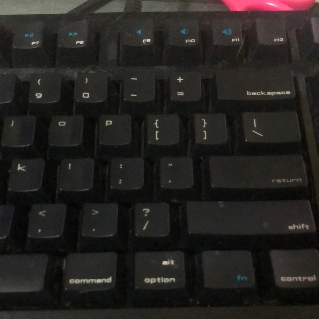 Cute cat - A Better Looking Shop